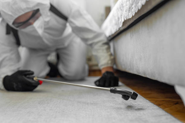 Professional Termite Control technician working in Shorewood, MN