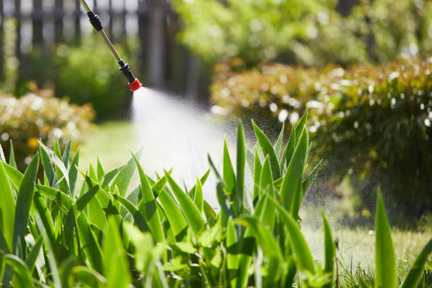 24/7 Emergency Termite Control experts in Shorewood, MN