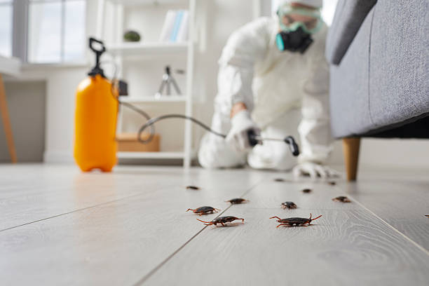 Trusted Rodent Control service in Shorewood, MN - Nex Pest Control